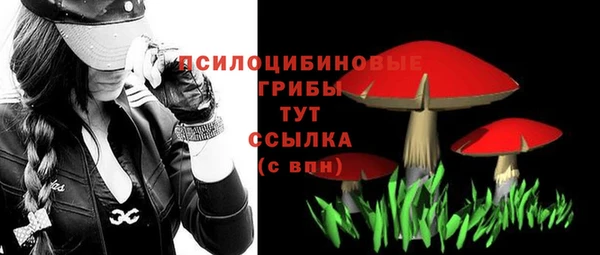 первитин Инта