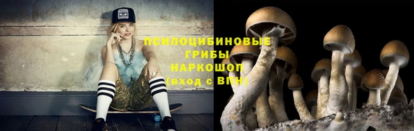первитин Инта