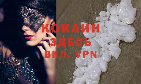 кокс Инсар
