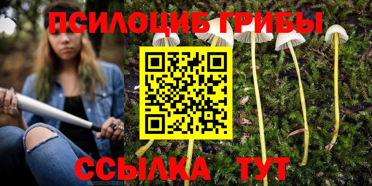 Нефтекамск  Псилоцибиновые грибы Psilocybine cubensis  как найти наркотики  Псилоцибиновые грибы Cubensis  Вход с VPN 